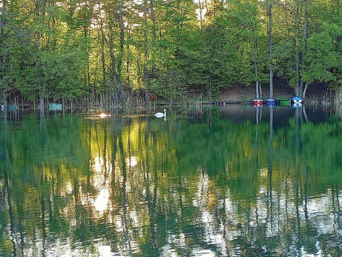 Dom Wakacyjny - Zakatek Marzenie Orzyny Bagian luar foto